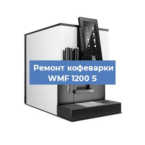 Чистка кофемашины WMF 1200 S от накипи в Воронеже